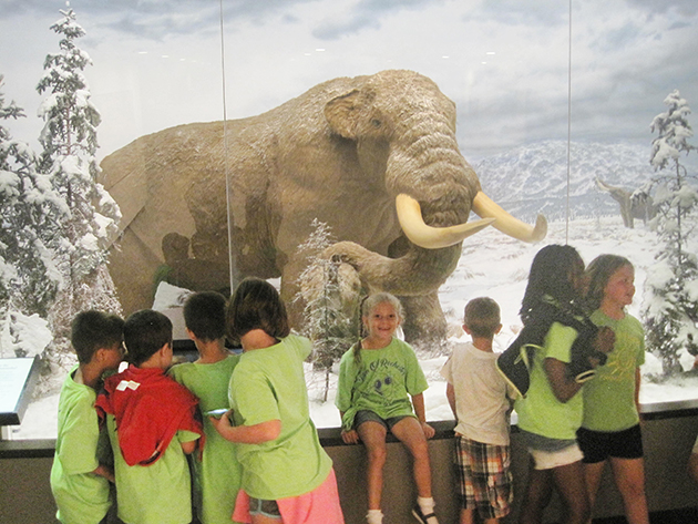 AdeAlbMuseum-IceAge_2623